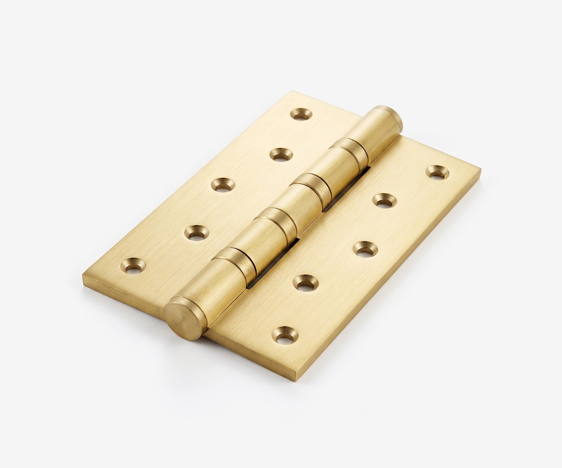 Pintle Door Hinge