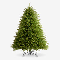 The Evergreen Christmas Tree