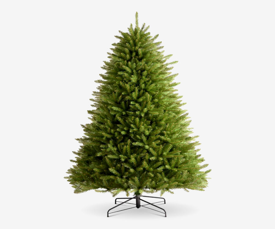 The Evergreen Christmas Tree