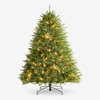 The Evergreen Christmas Tree