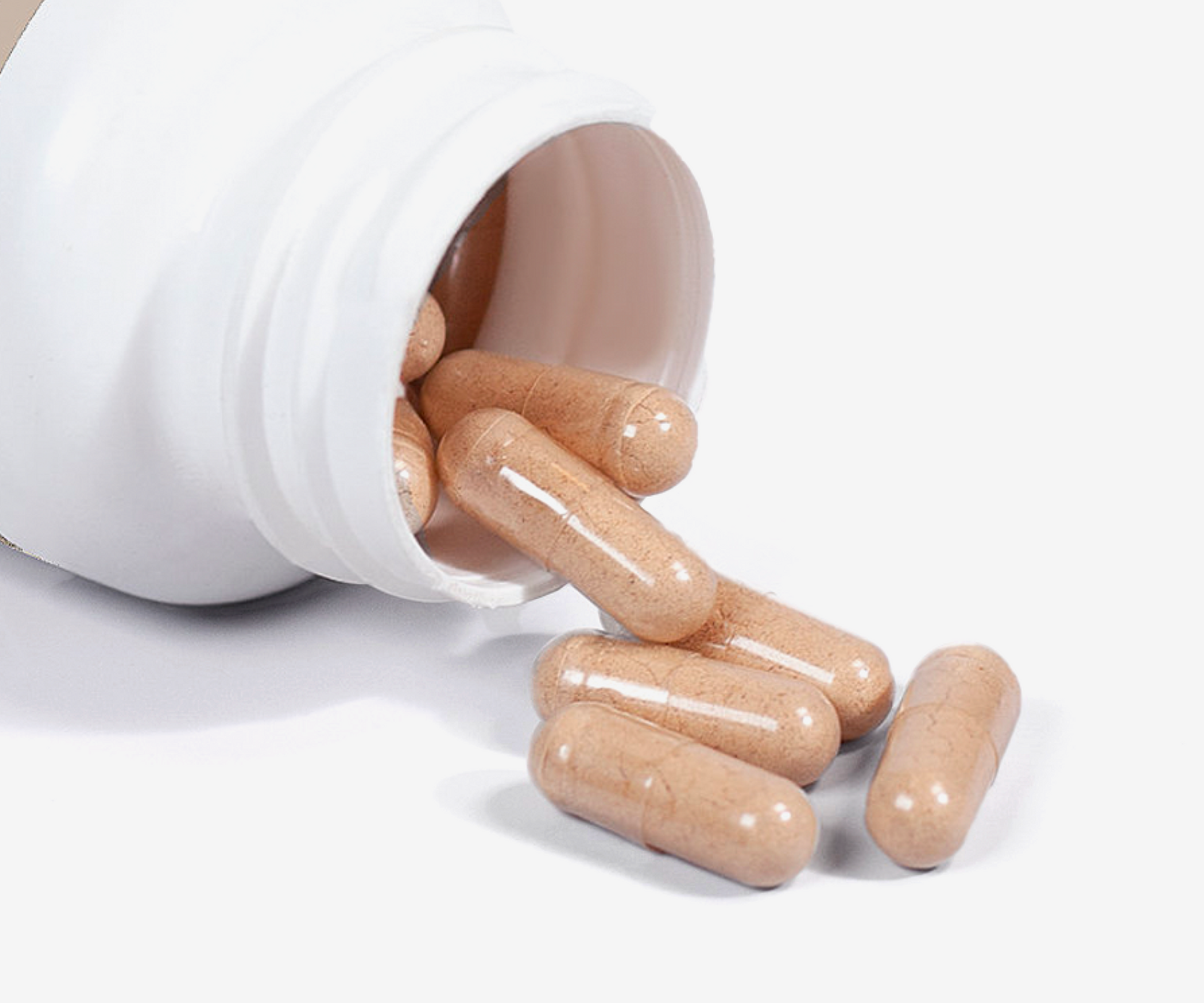 Lion's Mane Mushroom - The Essential 