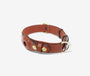 Leather Airtag Pet Collar - The Essential 