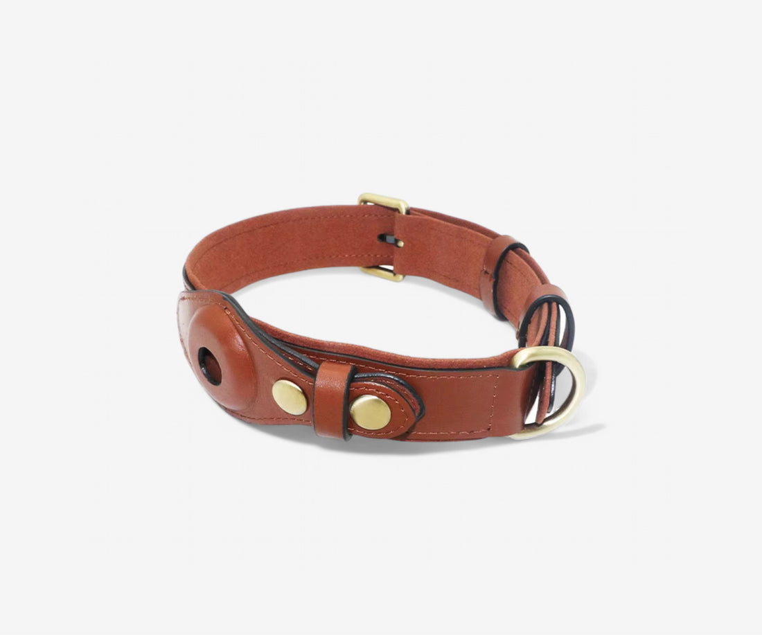 Leather Airtag Pet Collar