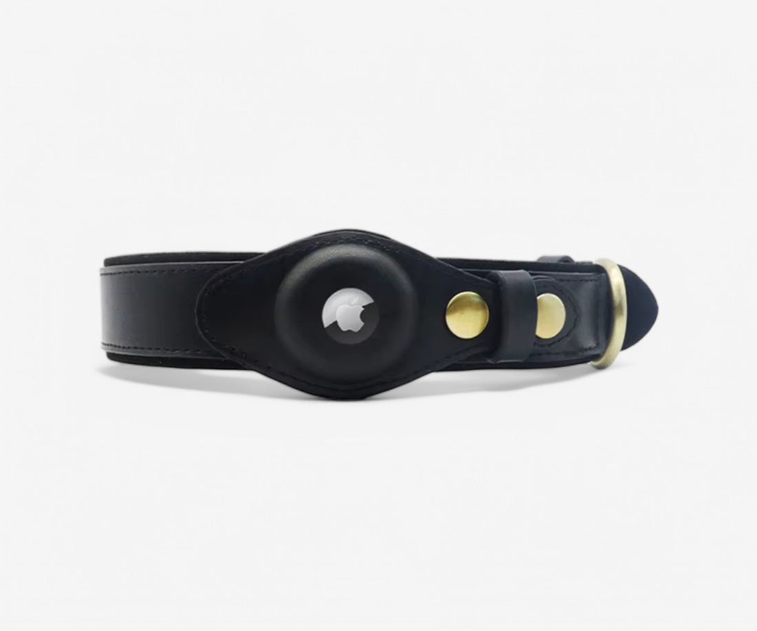 Leather Airtag Pet Collar