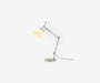 Lucchi Table Lamp - The Essential 