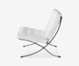 Barcelona Chair - The Essential 