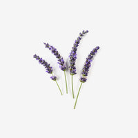 Lavender Candle