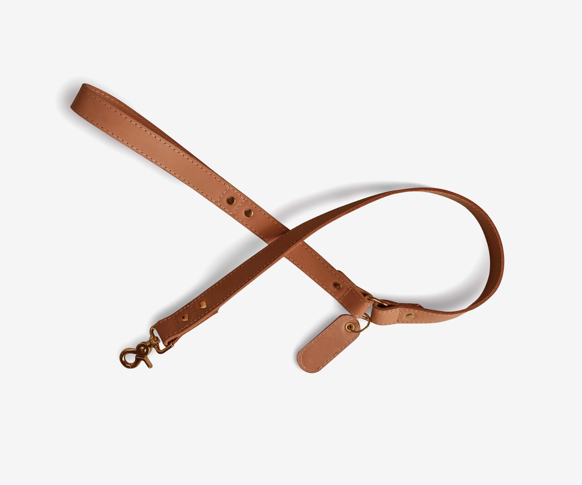 Leather Dog Leash - The Essential 