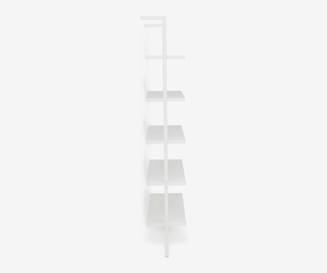 Ladder Bookshelf