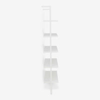 Ladder Bookshelf