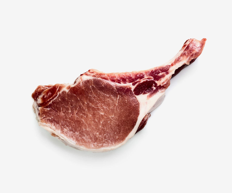 Iberico Pork Chop
